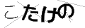 コタケノ